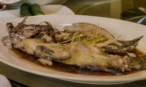 清蒸桂鱼 qīngzhēng guìyǔ(Fresh steamed Mandarin fish)