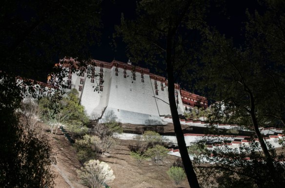 Looking up at the back of the Potala Palace at night